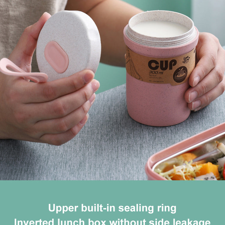 Stainless Steel Lunch Box Bento Double Layer Box Student Office Worker Food Container Microwae Heating Lunch Food Storage Box